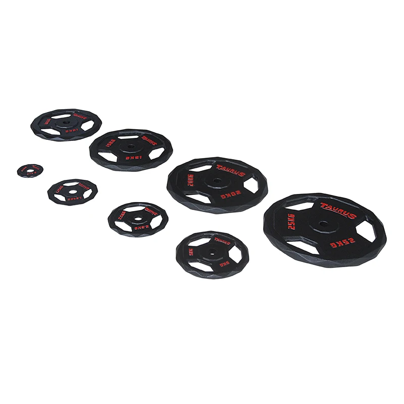 
High Quality Home Gym Wight Lifting Cast Iron Black Painting Handle Regular Plate 