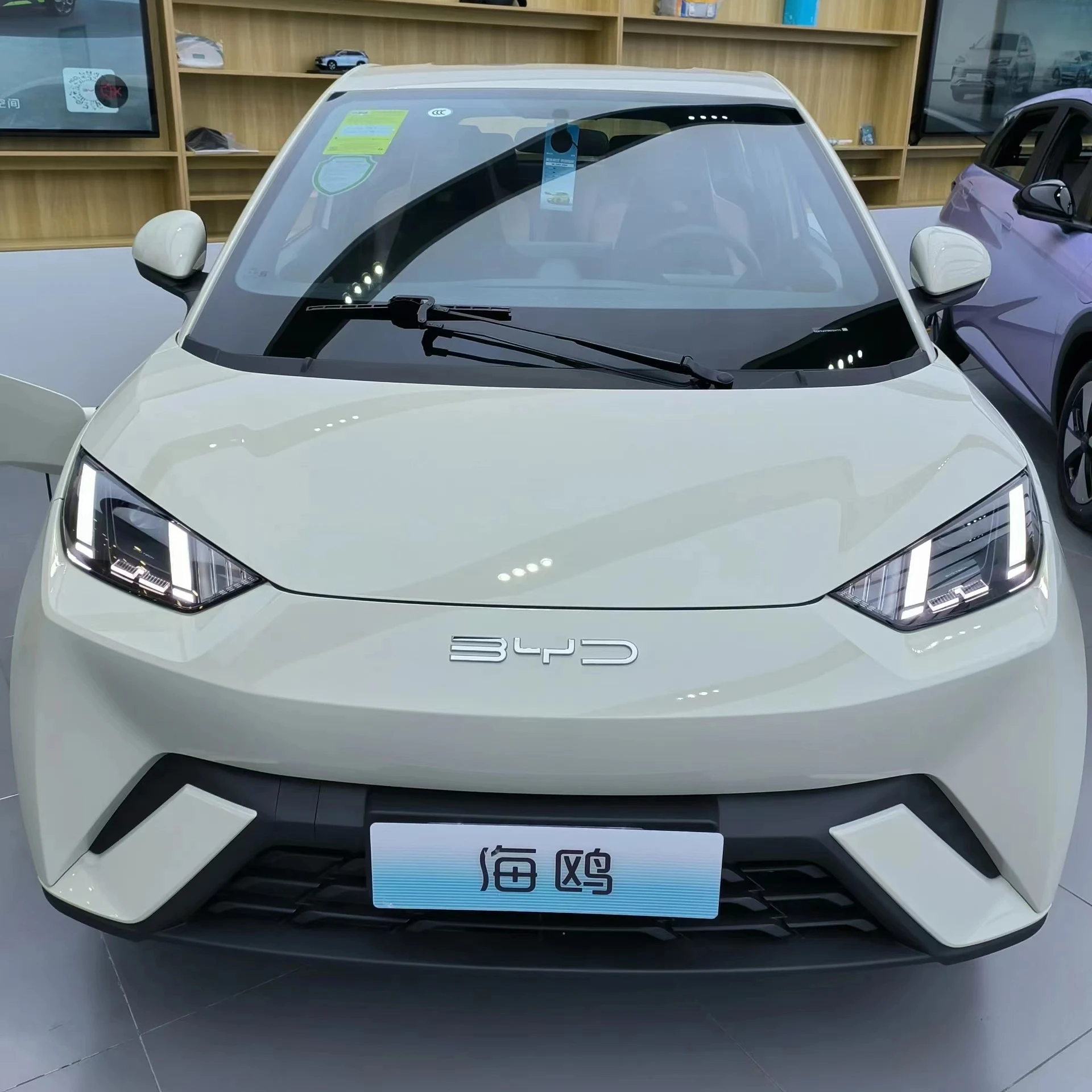 BYD Seagull 2024 New Energy Vehicle 405km 5-door-4-seat High Quality Pure Electric Mini Car