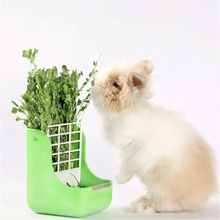 
supplier wholesale high quality fresh dry alfalfa hay bales for animal feed 