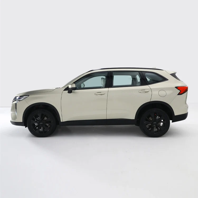 Высокопроизводительный автомобиль Haval H6s 2022 в наличии Горячая торговля для взрослых внедорожников бензиновых автомобилей