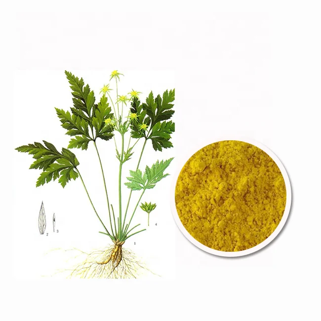 Top quality coptis chinensis extract 97%  Berberine Hydrochloride/ HCL