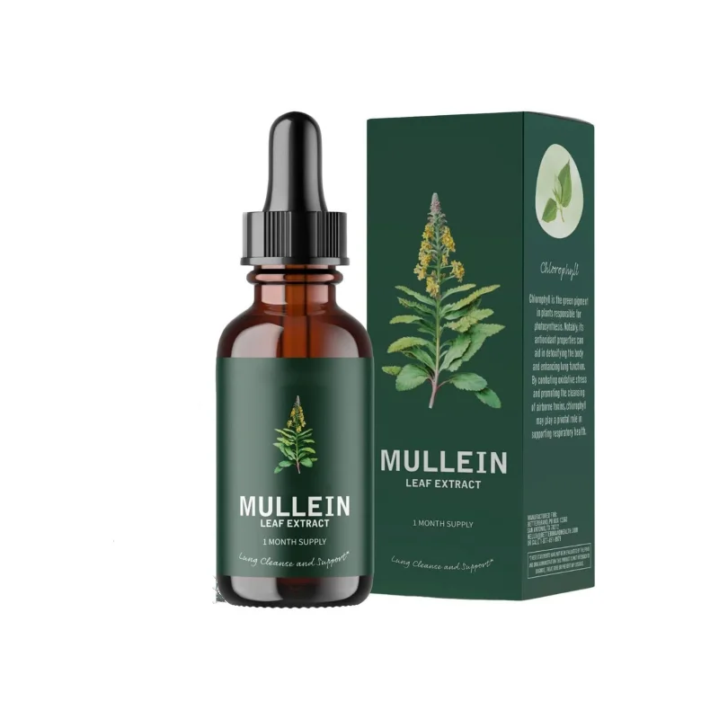OEM Customized Lung Cleanse Organic Mullein Leaf Liquid Extract Drops