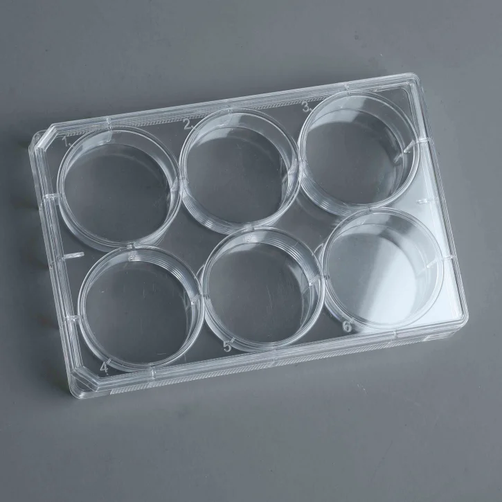 Wholesale Lab Supplies Sterile 6well Clear Ultra Low-binding Cell Culture Microplate for Bio Research