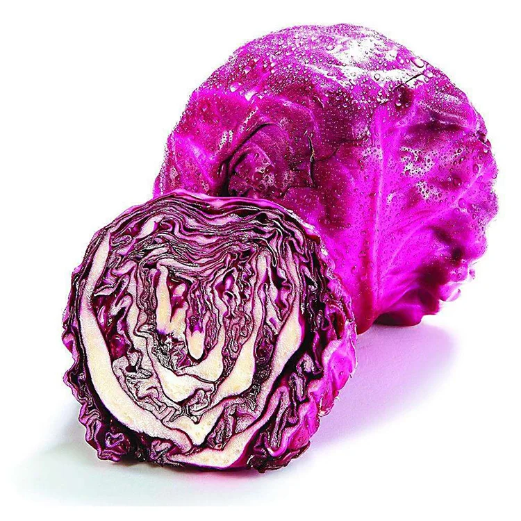 High grade wholesale price Chinese  fresh purple cabbage