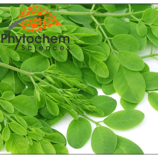  Листья и потеря веса superfood moringa powder от производителя