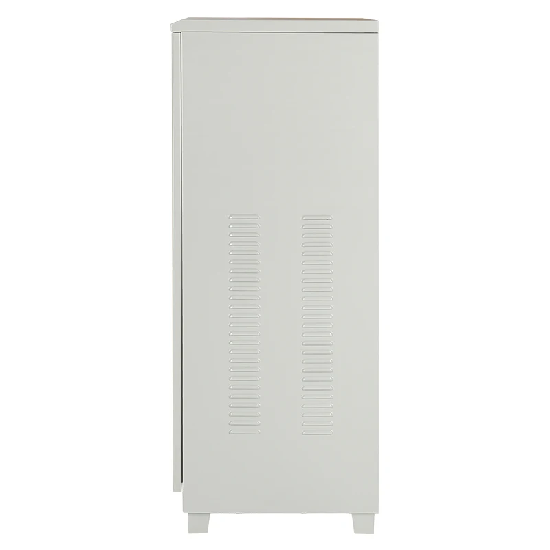TNS 50KVA 3-Phase Servo Motor AC SVC HEYA/OEM 50-60Hz Automatic Voltage Regulator Stabilizers Competitive Price Three-Stage AVR