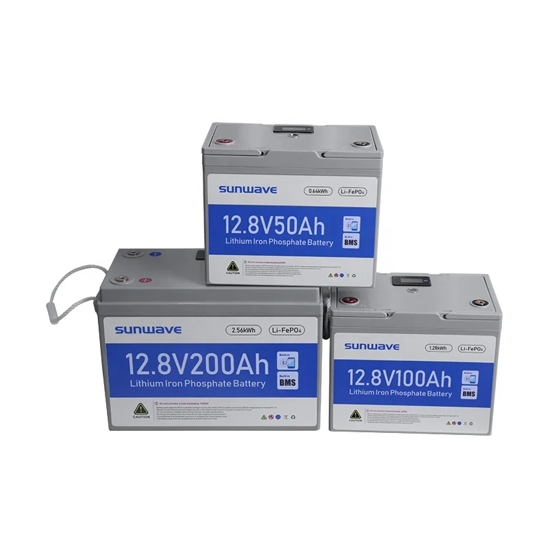 Sunwave 50ah 100ah 200ah 300ah 400ah портативная Ip54 Водонепроницаемая перезаряжаемая литий-ионная фосфатная батарея с BMS