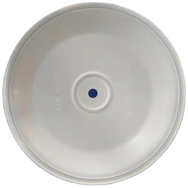 diaphragm pump spare parts