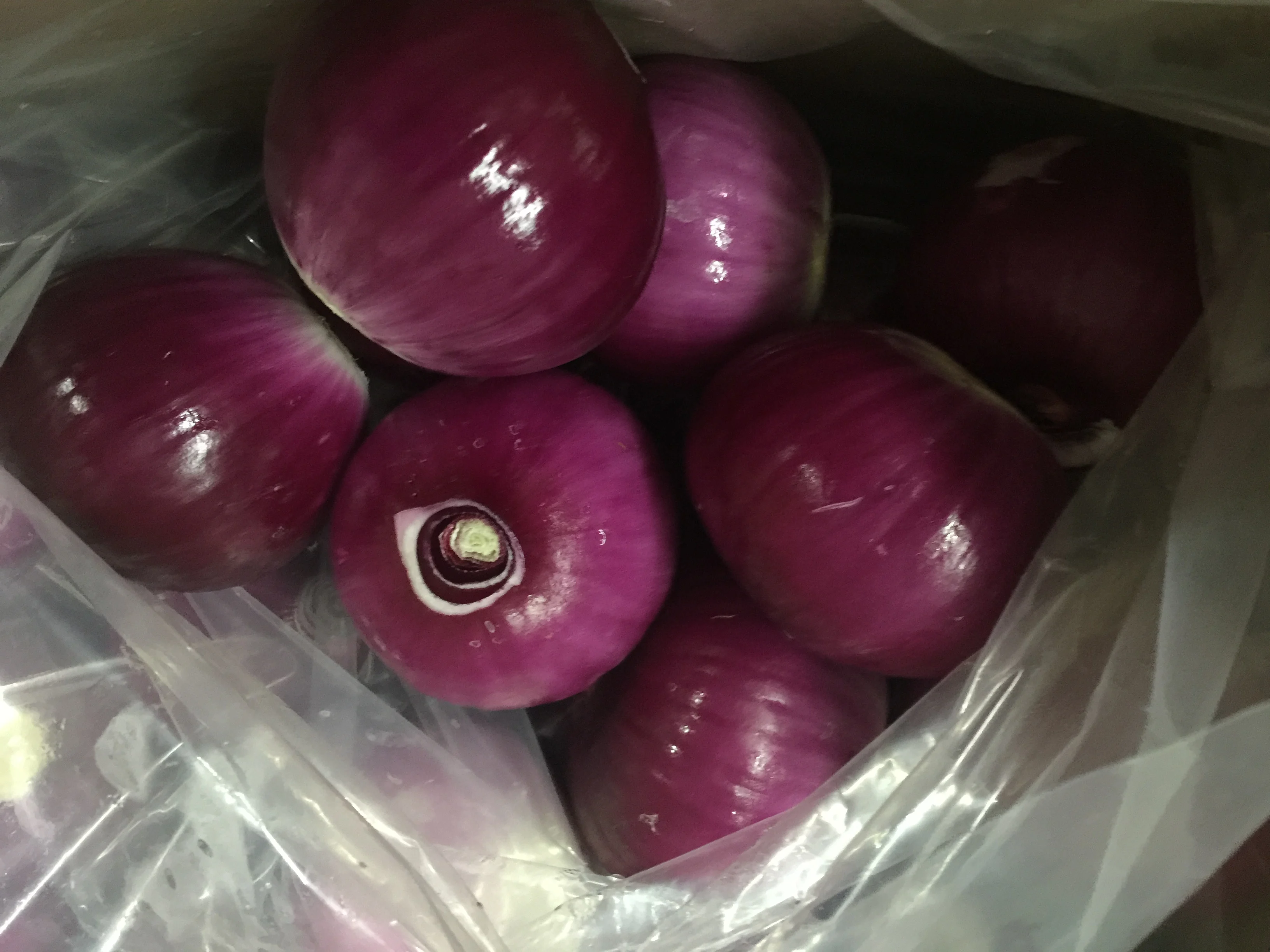 Red/yellow onion fresh wholesale price pack in mesh bag