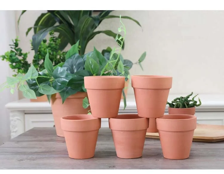 Succulent Plant Pots 2 Inch Terracotta  Mini Pots Clay Red Planter with Drainage Hole Clay  Mini Pots