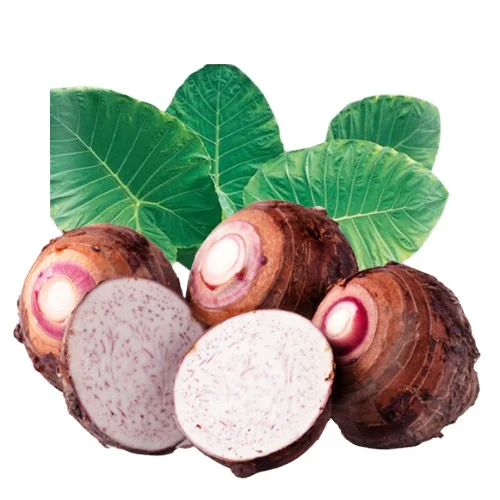 HOT HOT !!! FRESH TARO FROM VIETNAM WITH COMPETITIVE PRICE FOR SALE FOR WHOLESALER AND HIGH QUALITY FOR EXPORT