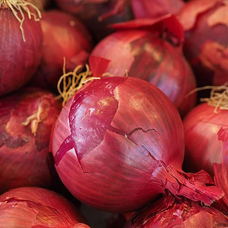 Экспортер, оптовая цена, свежий красный лук