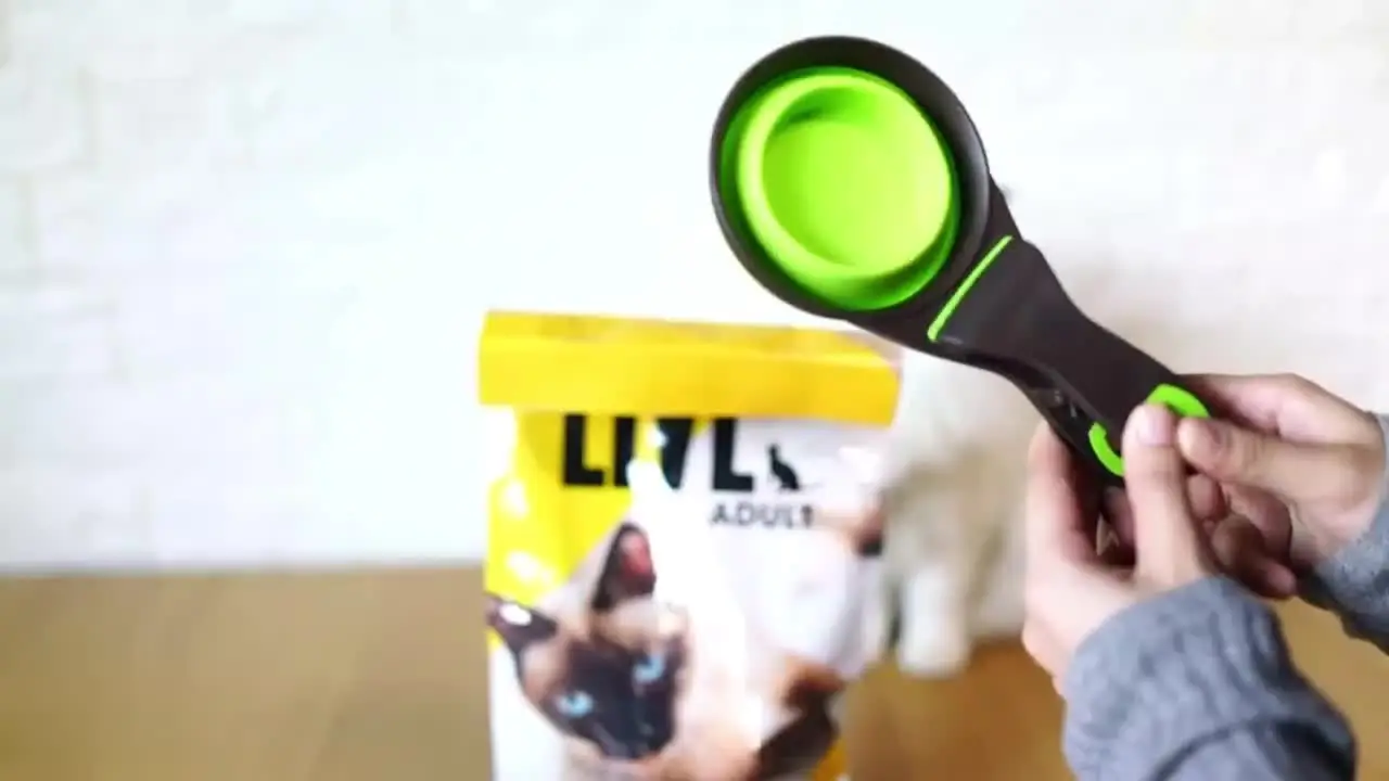 High Quality Folding Pet Bowl 5L Capacity Moisture-Proof Cat Food Seal Clip Plastic Dog Food Feeding Spoon Lid Automatic Water