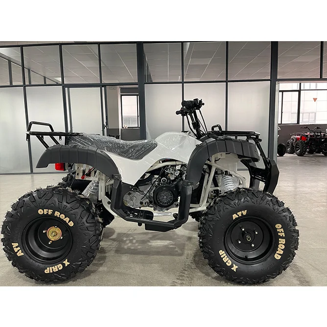 New Design Gas 200CC ATV 10inch Steel 4 Wheeler with Electric Start Outdoor Use Powerful Quad Motorbike