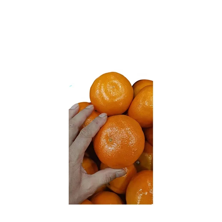 Hot New Products Agricultural Mature Crops Tangerine Fresh Oranges Citrus Fruit Mandarin