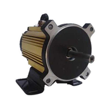 New Products for Market Professional Practical Brushless DC Motor 24v 1200w