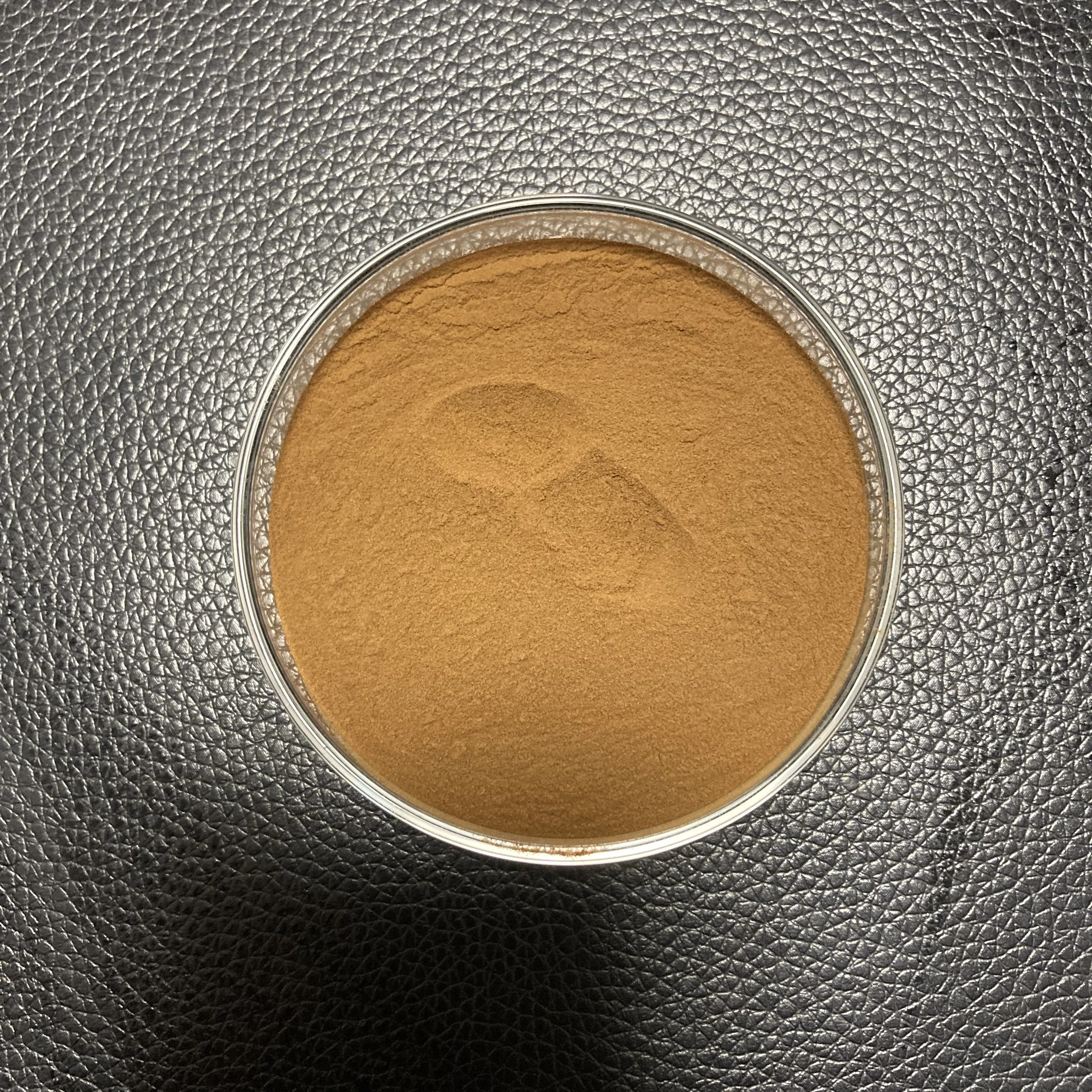 Saien High Quality Noisette 20:1 Hazelnut Extract