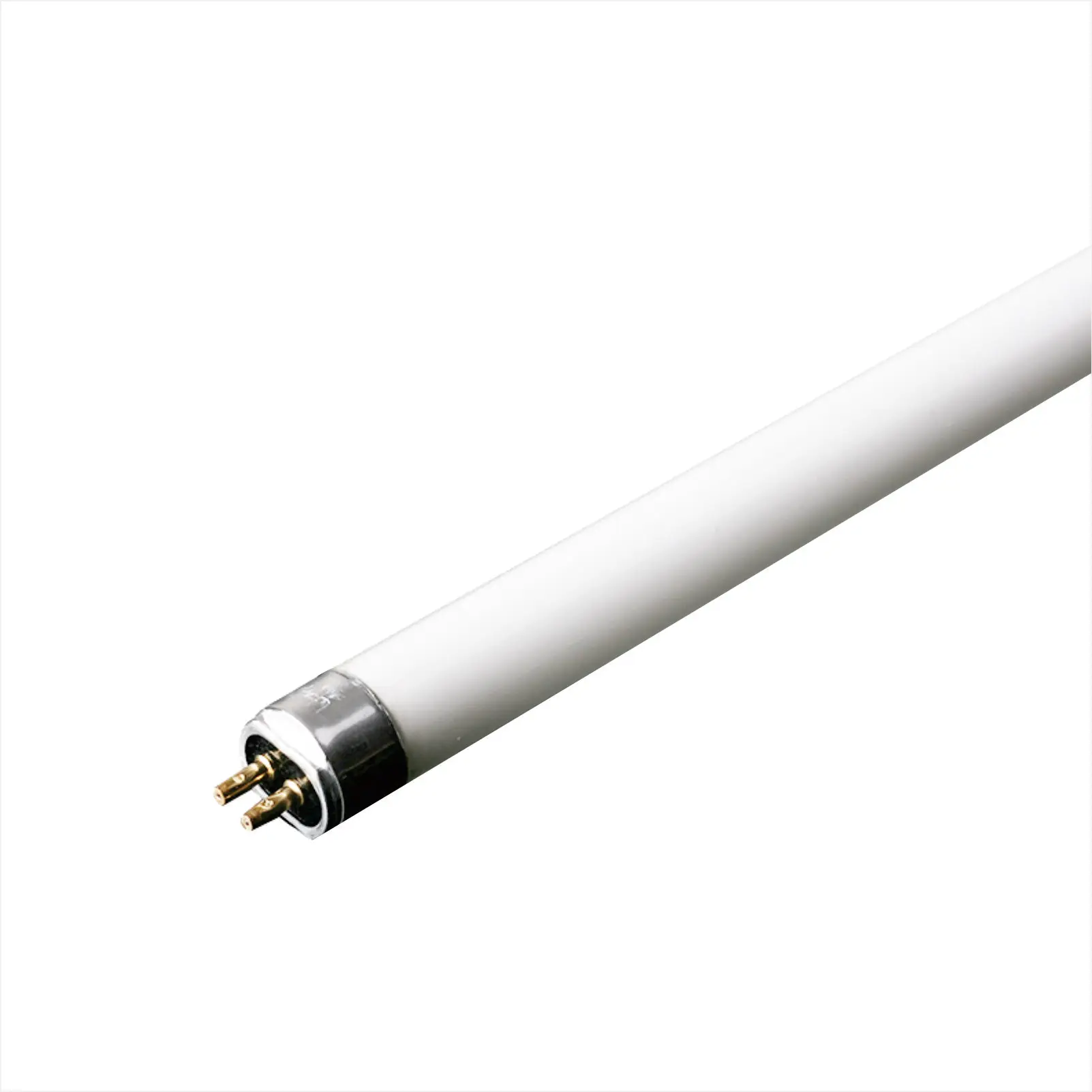 T5/T8/T10/T12 360nm Black Light  Lamp Fluorescent Lamp for Mosquito Killing UV lamp