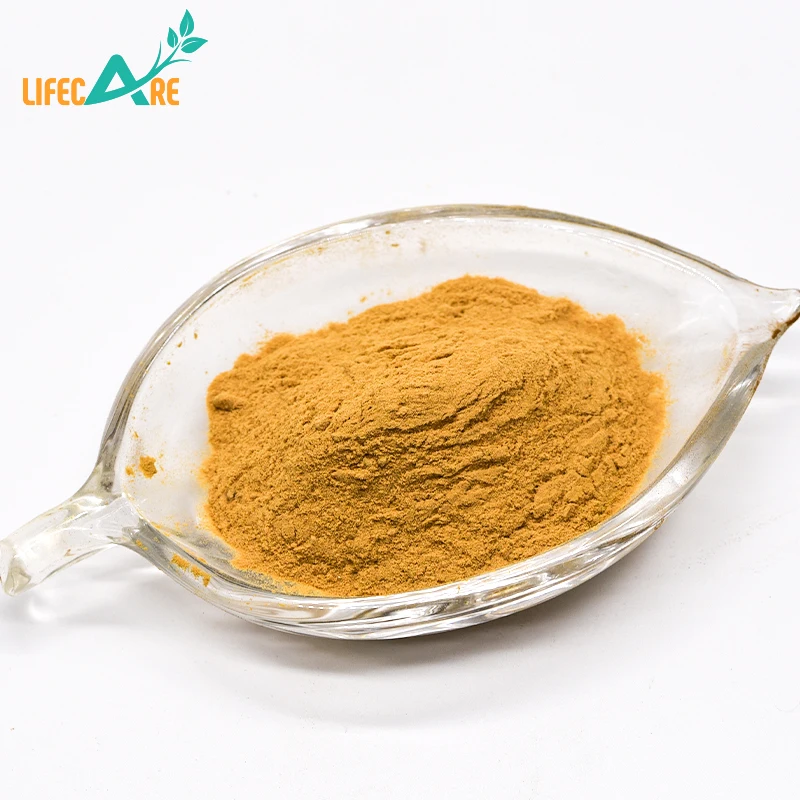 Factory Supply Raw Powder Chinese Red Dates Powder In Bulk