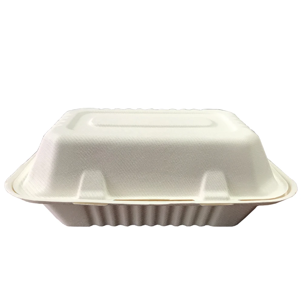 Biodegradable White Bagasse 1000ml 9x6 Inch Takeout  Food Container