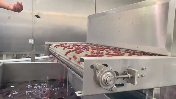 Full Automatic Popping Boba Depositing Line Agar Crystal Ball Making Machine