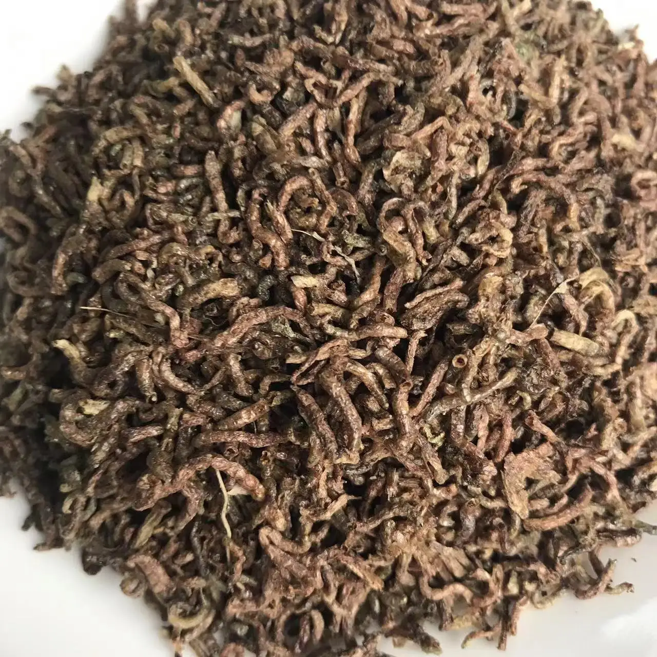 Blood Worm Freeze Dried Bloodworm Fish feed Edible Bloodworm for Fish