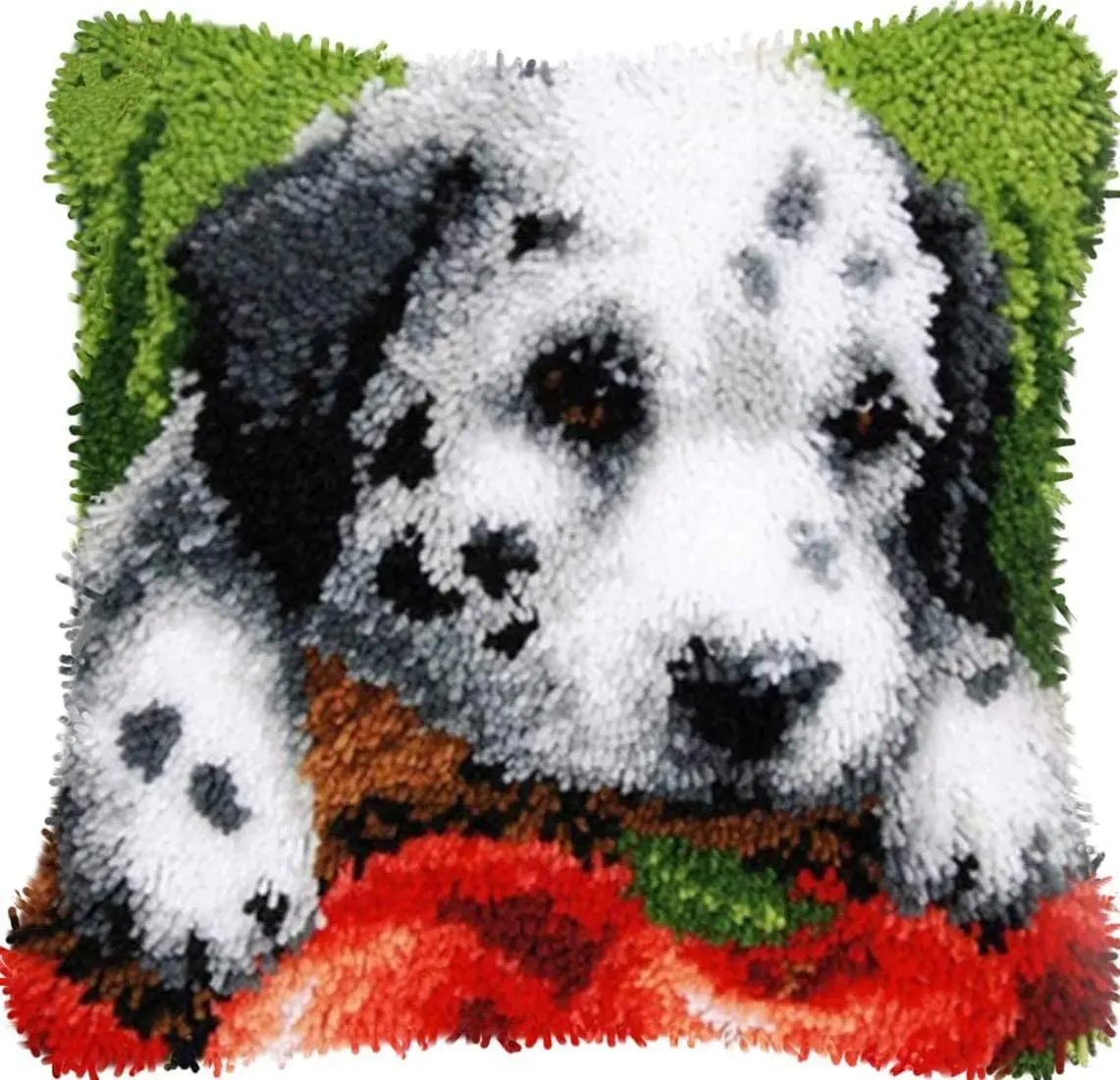 
Latch Hook Kits, Latch Hook Kits for Adults, DIY Dogs Latch Hook Kits for Kids Color Printing Cross Embroidery 