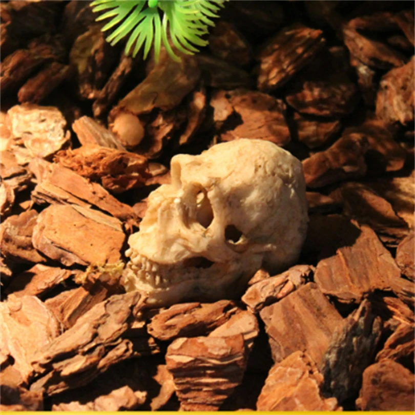 Aquarium ornaments reptile fossils landscaping resin skulls reptile landscaping decorations small skulls