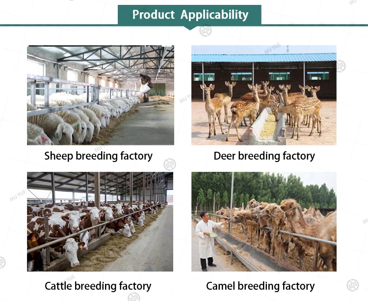 Animal Multivitamins Oral Solution Improve immunityand anti stressability Multivitamins oral solution