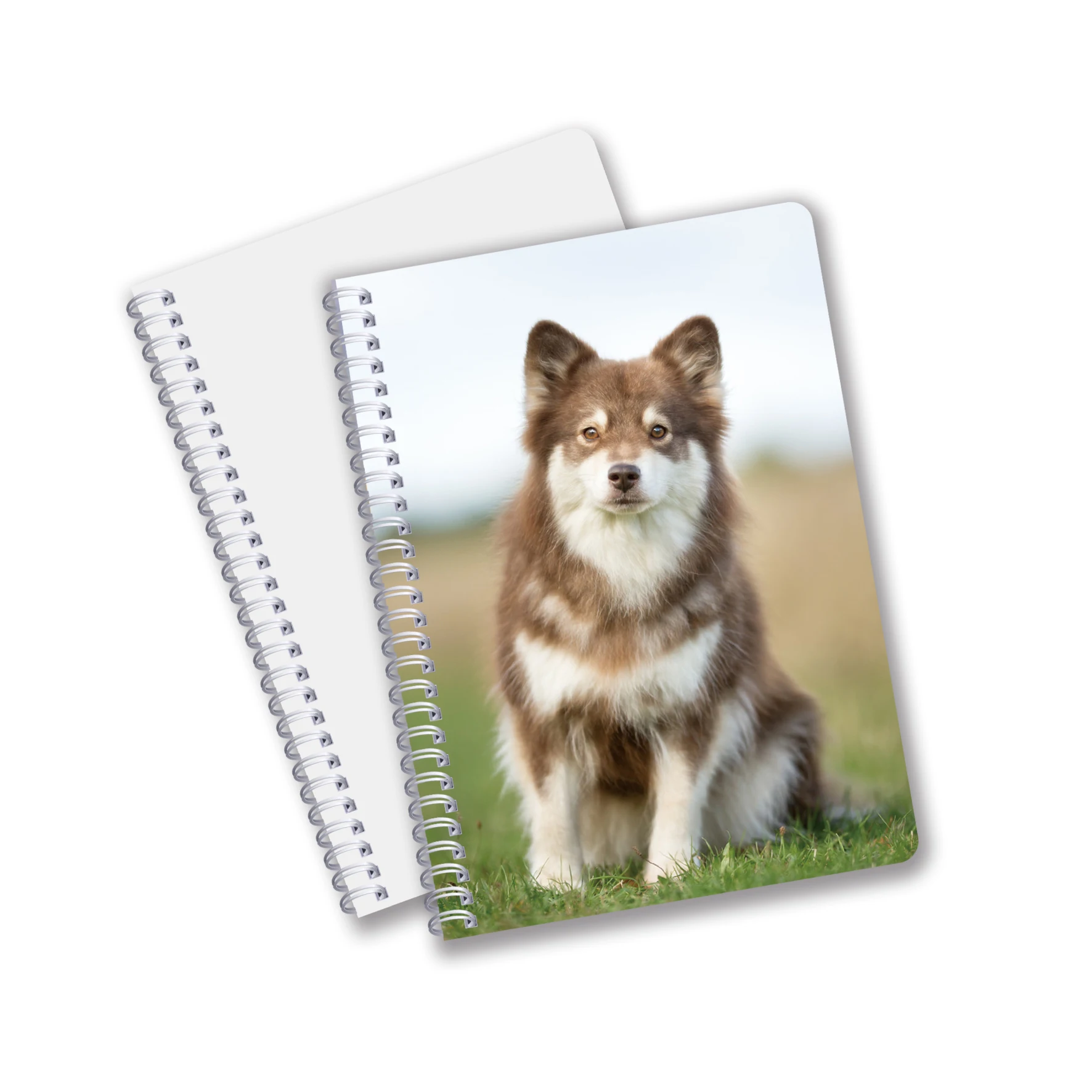 Канцелярские товары дневник тетради формата А4 3D чешуйчатая Обложка знаменитых видов