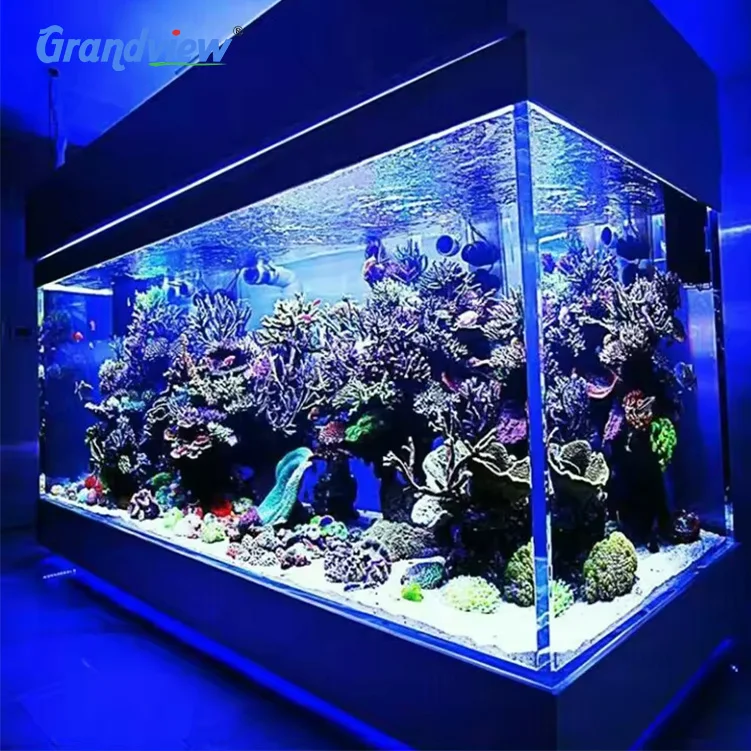 Grandview Customized Size Jellyfish Fish Aquarium Large Fish Tank for Home Using