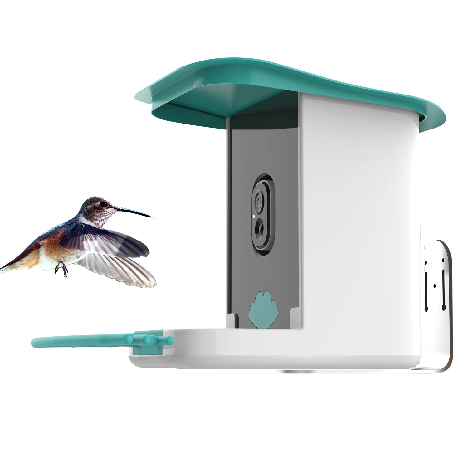 Amazon Hot Selling Bird Feeder High-definition AI Recognition HD Camera Stainless Steel Plastic Bowls IP65 SOC within 10 Hours
