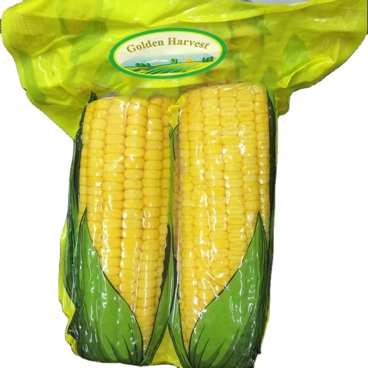 Fresh Vacuum pack Sweet Corn On The Cob in pouches Canned Maiz Dulce(sweetcorn)