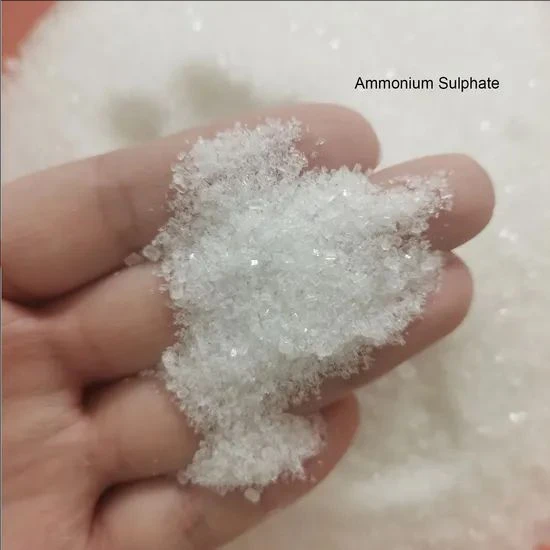 Cheap Agricultural Grade Fertilizer Bulk Prices Production Line Granular Ammonium Sulphate