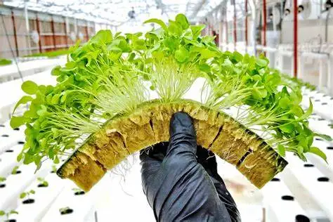 2023 гидропонная минеральная вата высокого качества для сельского хозяйства материал зеленого дома