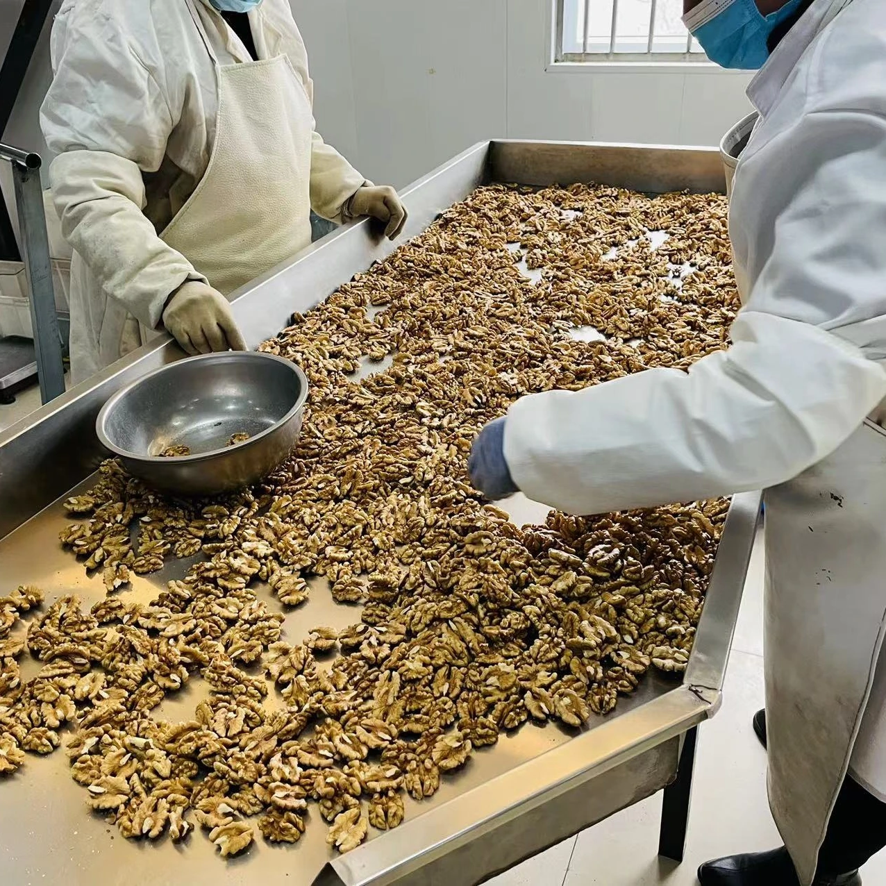 export food agriculture walnuts dried fruits nuts 10kg packing cracking shelled