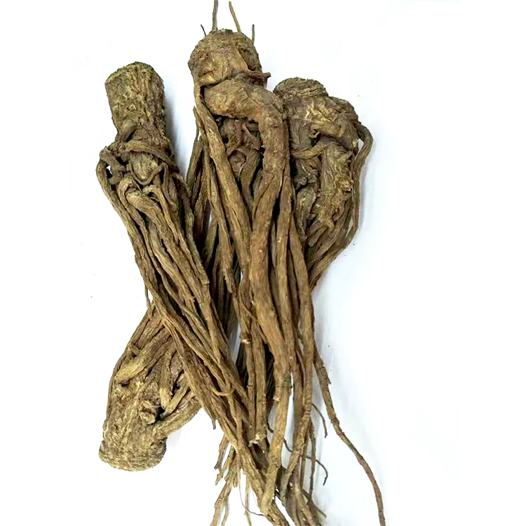 
Chinese Herbs Medicine Radix Angelica 
