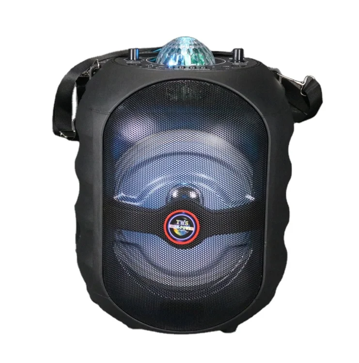 New arrival professional 8-inch TWS Wireless speaker CH-838 with portable speaker