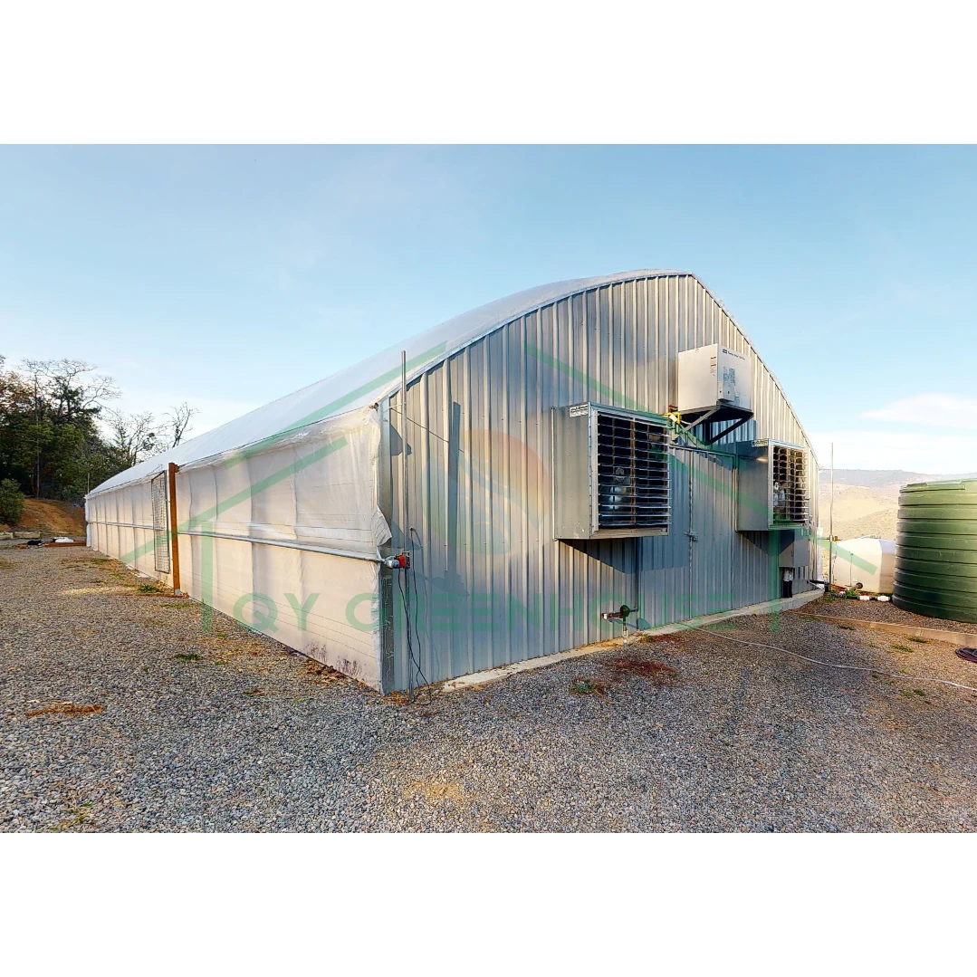 32m*24m Multi-Span Film Light Deprivation Greenhouse Blackout Greenhouse