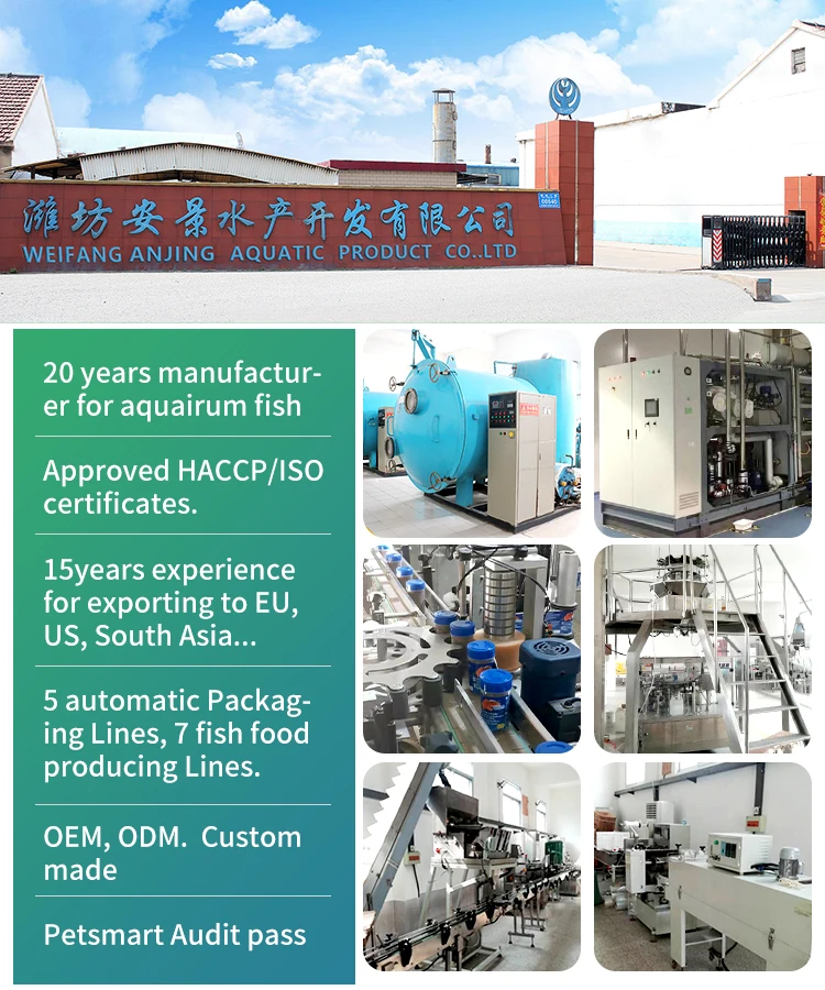 Wholesale insect mealworm black soldier fly larvae animal feeds dried mealworms powder