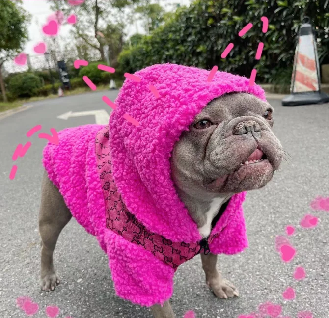 Wholesale Price Outfits Pet Clothes Dog Luxury Warm Cotton Padded Jacket Hoodie Pet Apparel Dog Clothes