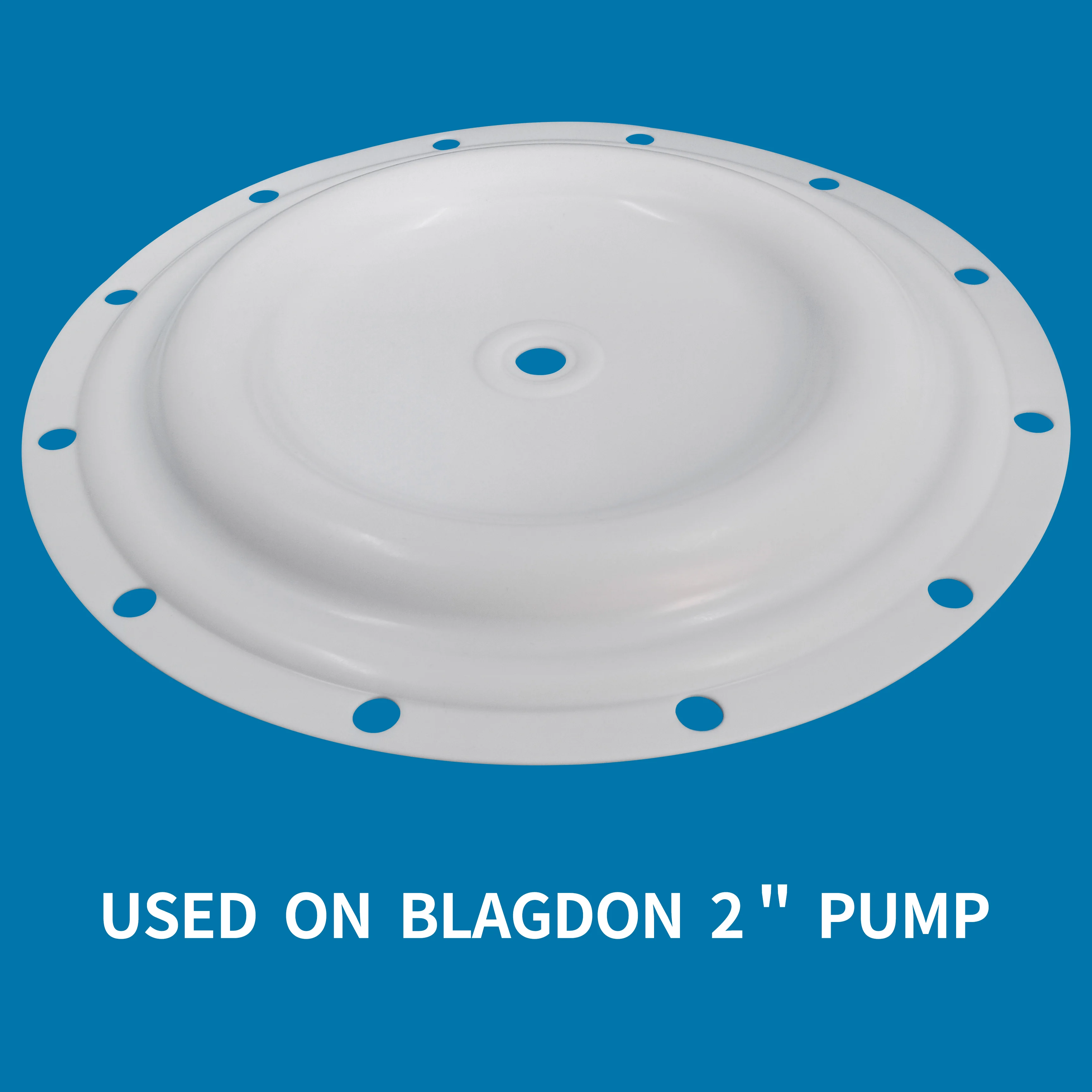 Диафрагма BLAGDON PTFE CF1B039 для воздушного