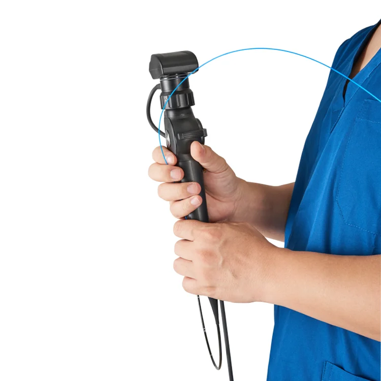 Factory Price Endoscopes Video Endoscope Camera Veterinary Gastroscopy Colonoscopy  Clinic Hospital Pet Endoscopy
