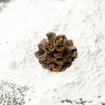 Высококачественный карбонат натрия/Промышленный бикарбонат натрия/Животный