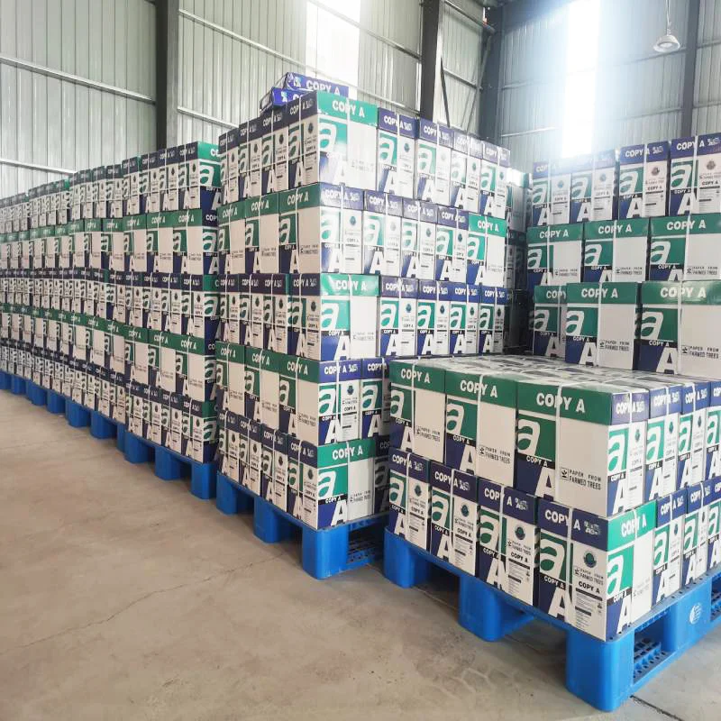 2024 multipurpose Wholesale Wood Pulp Printing official Paper White A4 Size 500 Sheets 70 75 80 gsm a4 format rim paper