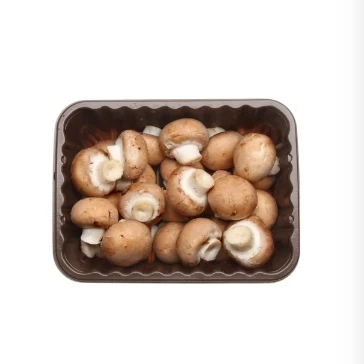 Plastic Blue Mushroom Punnet Packaging Tray Mushroom Plastic PP Trays For Packing Mushrooms