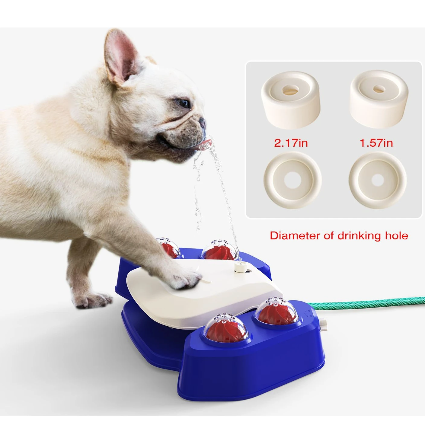 Automatic Pet Drinking Fountain Paw Activated Dog Cold Watering Drink Dispenser with 5 Nozzles