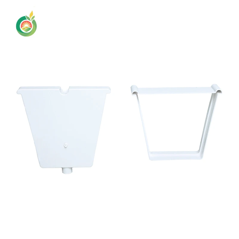 Customized Strawberry Soilless Cultivation System in Agricultural Greenhouse