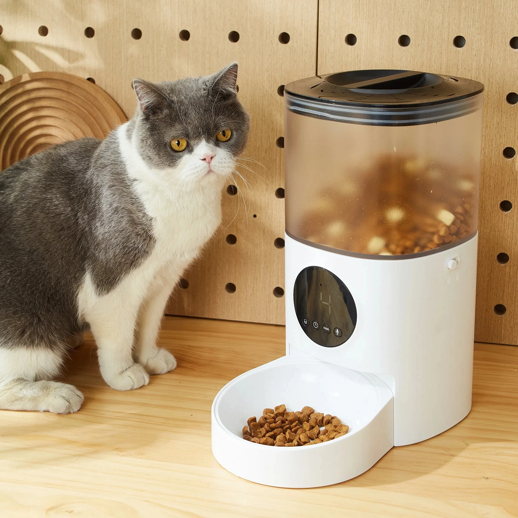 Remote Control APP Video Camera Smart Pet Feeders 6L Automatic Pet Feeder Wifi Connected Smart Pet Feeder with Voice Record