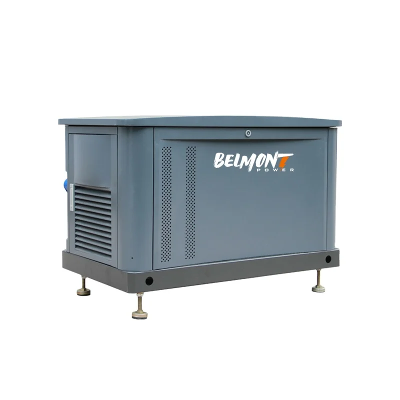 20kva 16kw 25kva 36kva 20kw 22kw 23kw Powered Inverter Electric Home Natural Gas Generator